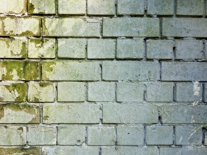 Quels sont les produits pour la décontamination des moisissures ?