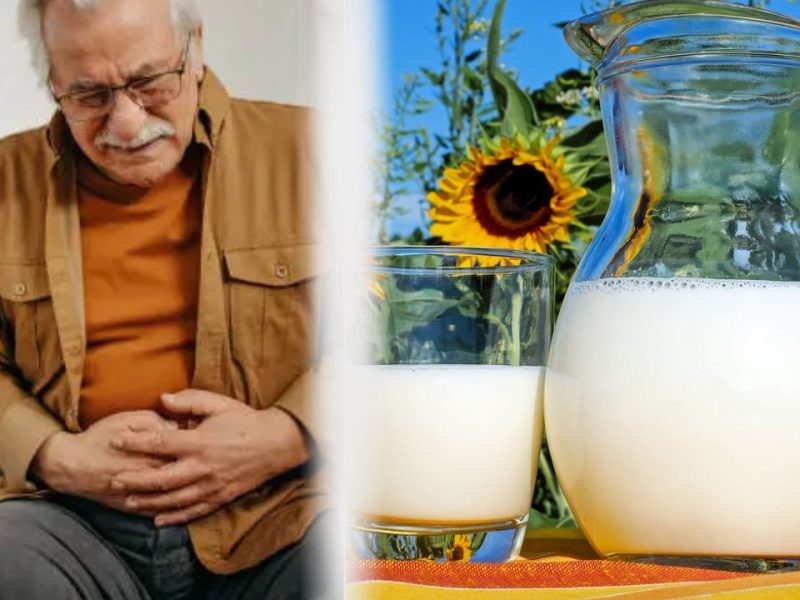 Le lait végétal est-il une bonne alternative ? - Magazine Avantages